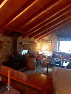 Mouses Chalet Lydia Επτάλοφος Παρνασσού - Eptalofos - 3