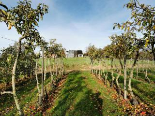 Huis van Hout - design eco lodge met panorama tuin en hot tub - Herk-de-Stad - 2