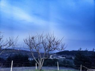 The Mountain House Doris - 6