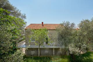 Apartmani Kuća u maslinama - Sveti Stefan - 7