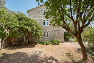Apartmani Kuća u maslinama - Sveti Stefan - 6