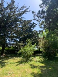 Chalet de vacances au bord de mer VER SUR MER - 5