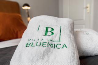 Villa Bluemica - Misdroy - 4