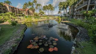Oceanview King 1BR in Papakea Resort - Kahana - 7