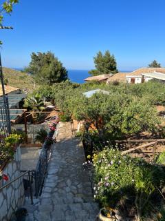 Baglio Cracchiolo da Tuzzo - Casa Fico D'India - San Vito Lo Capo - 4