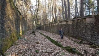 Chambre avec grand lit - Soultz-sous-Forêts - 1