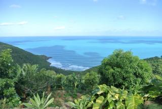 Traditional West Indian cottage on Good Moon Farm - Great Mountain - 7