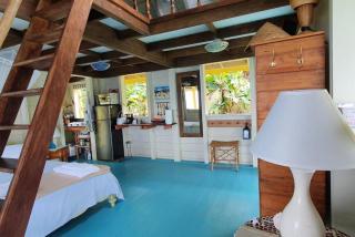 Traditional West Indian cottage on Good Moon Farm - Great Mountain - 1