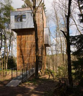Baumhaus Lodge Schrems - Schrems - 3