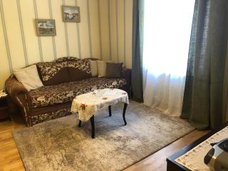 Posti Old Town Apartment - Viljandi - 8
