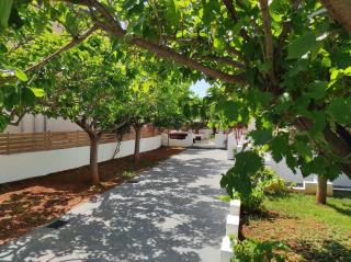 George's Houses - Riglia - 1
