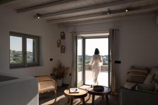 Ikies of Mykonos - Míconos - 1