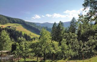 Ferienhaus Bad St Leonhard - 5