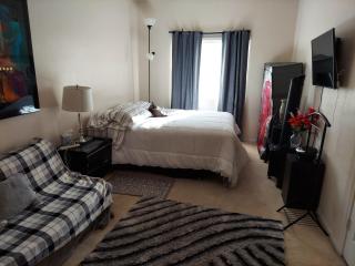 CATmosphere - Las Vegas - 6