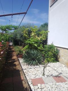 Apartmani DONNA - 2