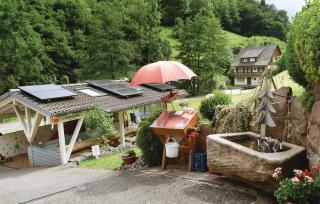 Stunning Apartment - Bad Peterstal-Griesbach - 5