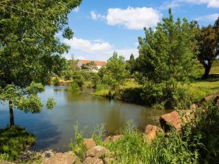 Country mansion in Montemor-o-Novo Alentejo - Montemor-o-Novo - 9