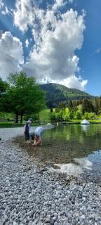 Appartements Haus Bergland - 3