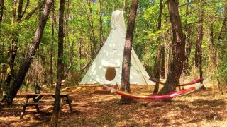 Magnifique chalets en rondins avec SPA et Tipis en plaine Nature Environnement ressourçant au calme vue imprenable Lascaux SPA non disponible juillet et aout - 1