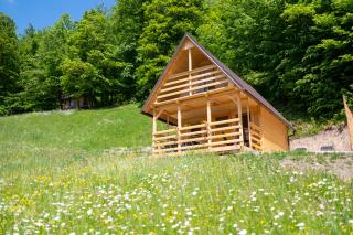 Glamping Laze - Gorenja Vas - 8