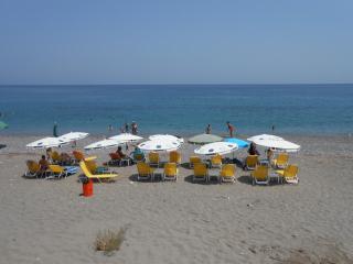 ASIMENIA STUDIOS - 1