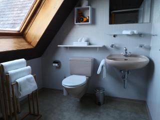 Gasthaus Friedegg - Wildhaus - 3
