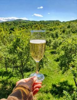 Casutele din Livada - 5