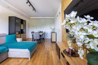 Apartament Czarny Flaming - Szczawnica - 1