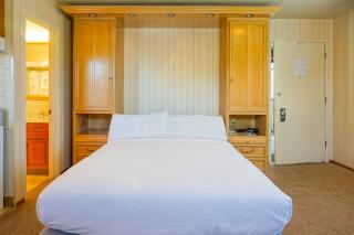 Roman Spa Resort - 8