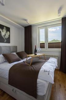 Apartament Czarny Flaming - Szczawnica - 0