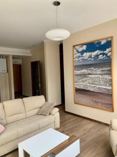 Palanga Mickevičiaus 8 apartments - Palanga - 8
