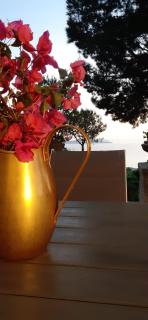 Casa "Le Terrazze" - Erice - 1