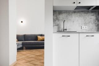 Apartment in Kaunas Old Town - 9