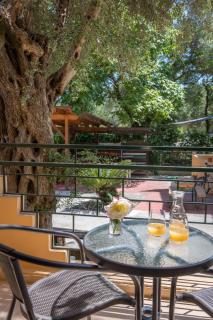 Wilde Rose Hotel - Dassia - 2