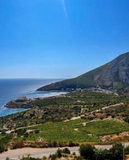 @trstenik - Trstenik - 5