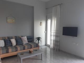 Renovated apartment in Adelianos Kampos - Adelianos Kampos - 5