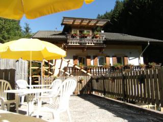 Gassermühle - Studio Appartments - Ega - 4