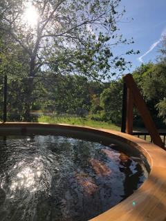 Bárka a Tiszához apartman - 2