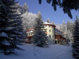 Pension Casa Olga - Paraul Rece - 9