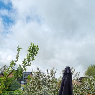 Roz Hus - Neksø - 5