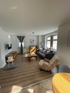 Apartmenthaus Elbblick Mühlberg - Bad Schandau - 9