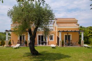 Ballas Paradise - Roda - 5
