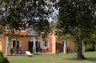 Ballas Paradise - Roda - 6