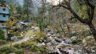 Mystic Vibes - Jibhi - 2