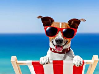 Relaxing Chalet on popular California Sands short stroll to beach, nr Norfolk Broads & Great Yarmouth - Scratby - 6
