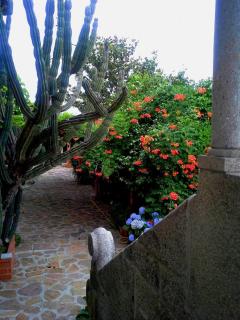 Casa do Faial - Braga - Braga - 2