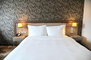 Radisson Blu Hotel, Abidjan Airport - Abidjan - 6