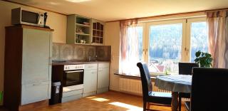 Ferienhof Ziegler- Sonnenschein - Baiersbronn - 6