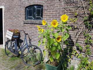 Het Voorhuis boerderij Hoeve Vrede Best - Weesp - 4