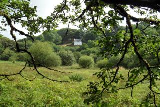 Farthings Hook Mill Holiday Cottage - Henrys Moat - 8